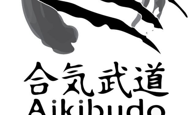Aikido Budo Defens Martial Art
