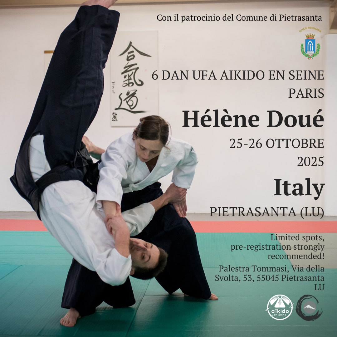 Fujiyama Pietrasanta